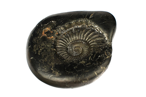 Worship of Shaligram | Shaligram Puja Vidhi, Benefits & Mantras