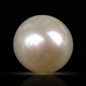 K-24954-S
