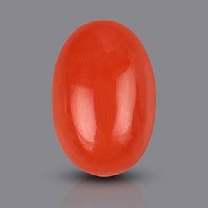 Red Japanese Coral - 2.93 Carats
