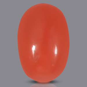 Red Italian Coral - 3.10 Carats
