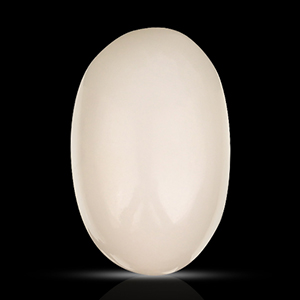 White Coral - 5.70 Carats