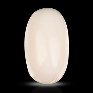 White Coral - 6.40 Carats