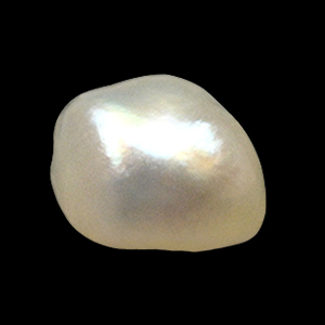 NBP227-S