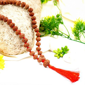 9 Mukhi Durga Shakti Mala (10 mm)