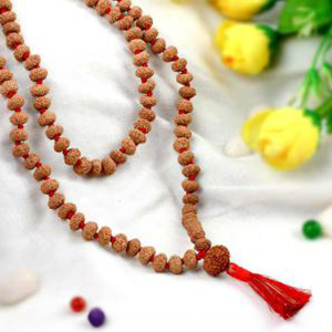 9 Mukhi Durga Shakti Mala (8 mm)