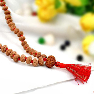 10 mukhi Krishna Mala (7 mm)