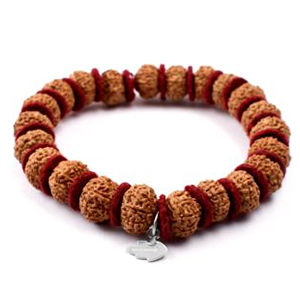 10 Mukhi Krishna Bracelet from Java in Woolen Spacers