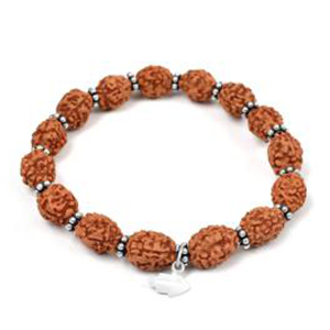 3 Mukhi Mahajwala Bracelet from Java with Silver Chakri