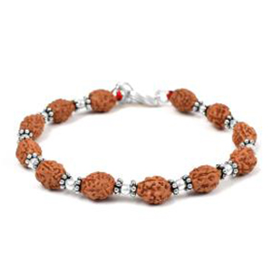 3 Mukhi Mahajwala Bracelet From Java with Silver Balls & Chakri