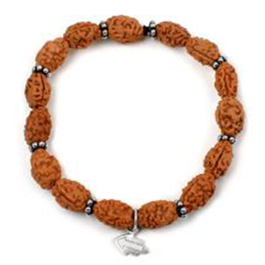 2 Mukhi Moon Bracelet from Java with Silver Chakri in Thread (14 mm)