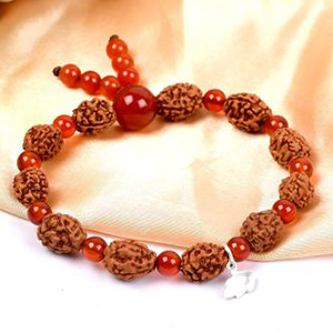 3 Mukhi Mahajwala Bracelet from Java with Carnelian Beads