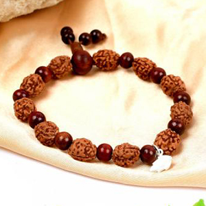 3 Mukhi Mahajwala Bracelet from Java with Red Sandalwood Beads