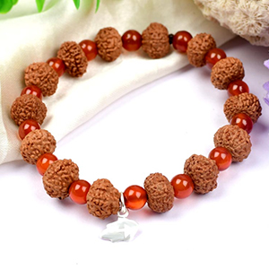 10 Mukhi Krishna Bracelet from Java with Carnelian Beads
