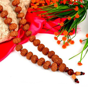 Collector 9 mukhi Durga Shakti Mala in Thread