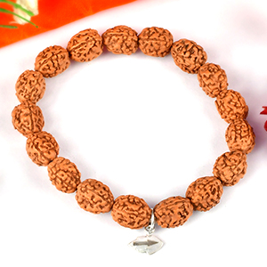 4 Mukhi Brahma Bracelet from Java