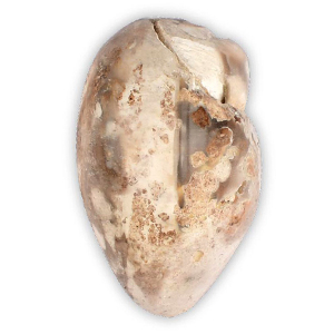 Heera Shankh with Hakeek Rosary (XXI)