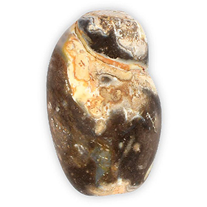 Heera Shankh with Hakeek Rosary (XLV)