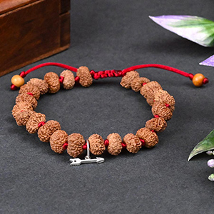 21 Mukhi Surya Wrist Java Bracelet