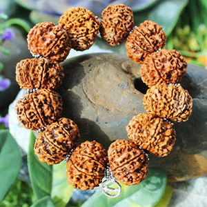 14 Mukhi Hanuman Bracelet