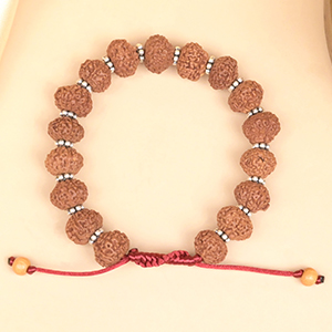 10 Mukhi Rudraksha Silver Chakri Bracelet