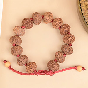 9 Mukhi Rudraksha Adjustable Bracelet