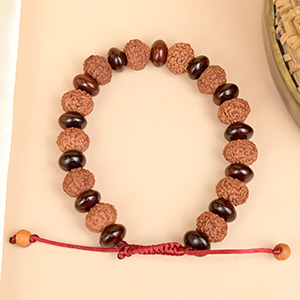 9 Mukhi x Red Sandalwood Elliptical Adjustable Bracelet