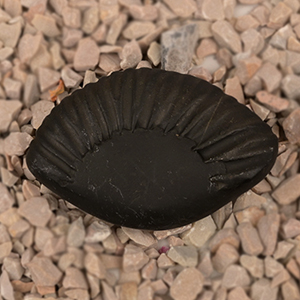 Laxmi Matsya Shaligram Shila