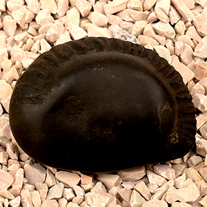 Buddha Avatar Shaligram Shila