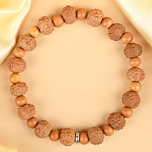 Premium 7 Mukhi Rudraksha x White Sandalwood Bracelet