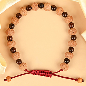 Premium 7 Mukhi x Red Sandalwood Adjustable Bracelet