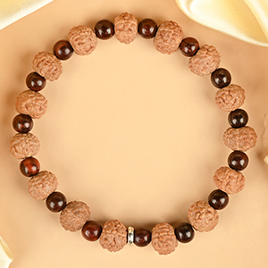 Premium 7 Mukhi x Red Sandalwood Bracelet