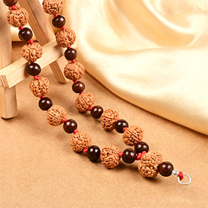 Premium 5 Mukhi Rudraksha & Red Sandalwood Mala