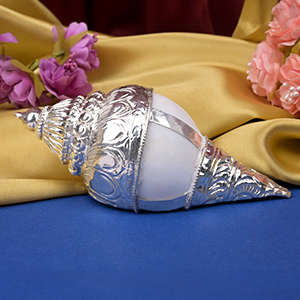 Vamavarti Shankh in 925 Sterling Silver Encasing - 226.15 gms