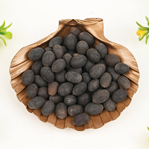 Wealth Prosperity Kit - Kamal Gatta (Lotus Seeds) on Shell Plate