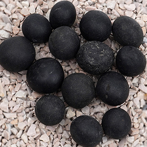 Laddu Gopal Shaligram Shila