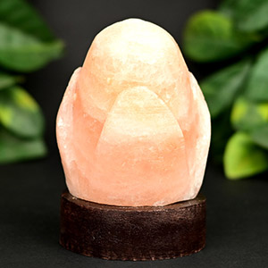 Rose Design Rock Salt Vastu Energizer Artifact