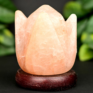Flower Design Rock Salt Vastu Energizer Artifact
