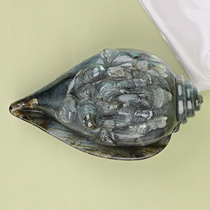 Labradorite Ganesha Shankh - 1.430 Kgs