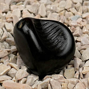 Gopada Shaligram Shila