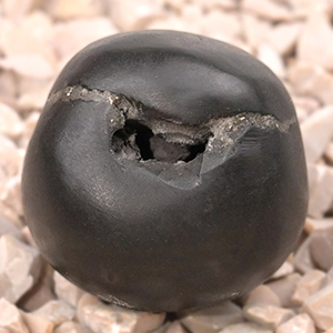 Chakradhari Vishnu Laxmi Shaligram Shila