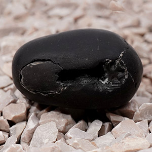 Chakradhari Vishnu Shaligram Shila - III