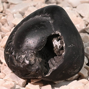 Chakradhari Laxmi Narsimha Shaligram Shila - 20 gms