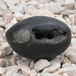 Swarna Vishnu Chakra Shaligram Shila