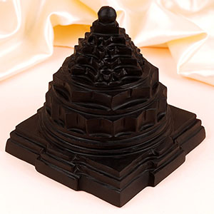 Shaligram Meru Shree Yantra - 748 gms