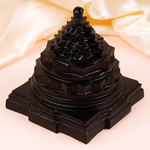 Shaligram Meru Shree Yantra - 663 gms
