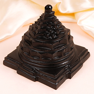 Shaligram Meru Shree Yantra - 630 gms