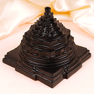 Shaligram Meru Shree Yantra - 579 gms