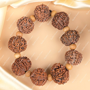 9 Mukhi Nepali Rudraksha x White Sandal Bracelet