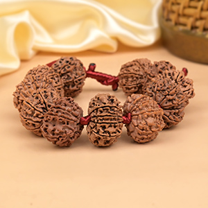 12 Mukhi Nepali Rudraksha Adjustable Bracelet