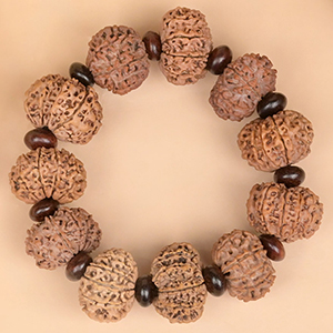 13 Mukhi Nepali Rudraksha x Red Sandalwood Bracelet